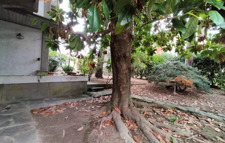 Appartamento in vendita a Massa