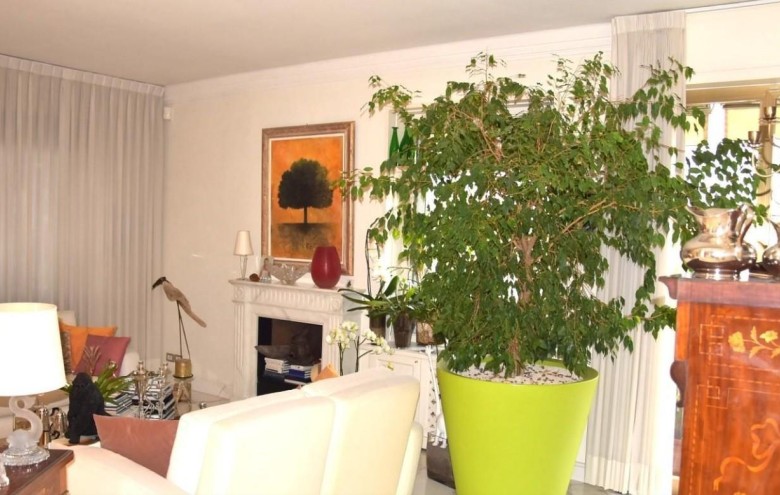 Appartamento in vendita a Massa