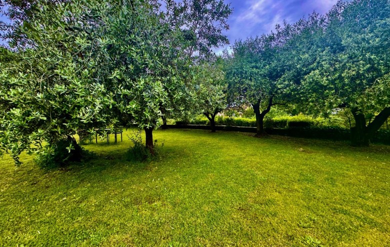 Bifamiliare in vendita a Montignoso