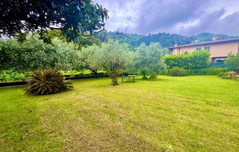 Bifamiliare in vendita a Montignoso