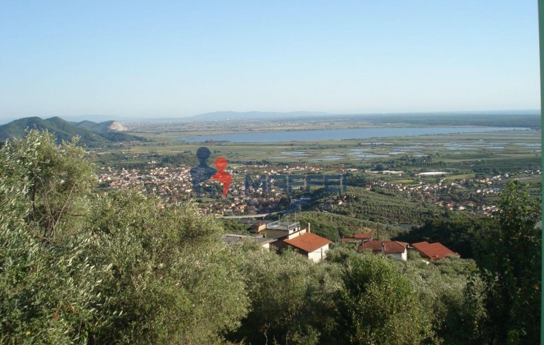 Rustico in vendita a Massarosa