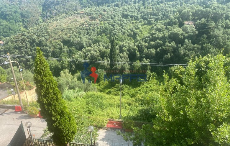 Terratetto in vendita a Massarosa