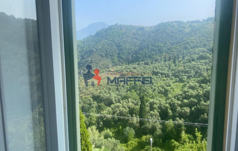 Terratetto in vendita a Massarosa