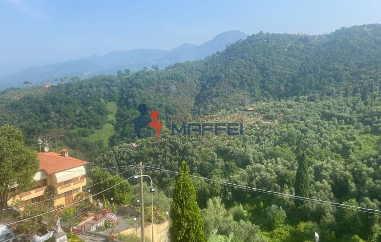 Terratetto in vendita a Massarosa