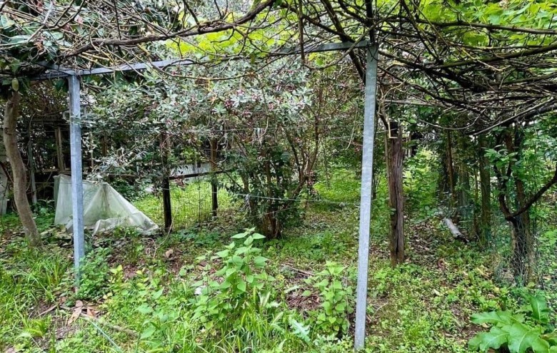 Bifamiliare in vendita a Massa