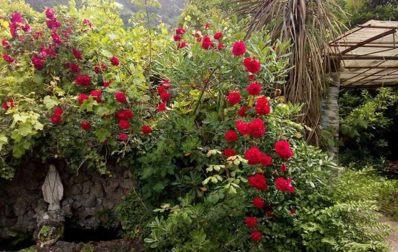 Bifamiliare in vendita a Massa