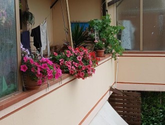 Appartamento in vendita a Turano