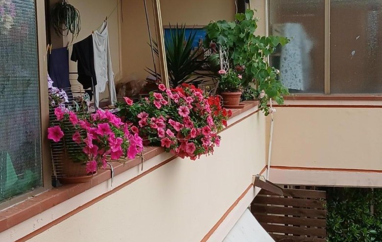 Appartamento in vendita a Massa