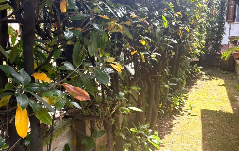 Bifamiliare in vendita a Massa