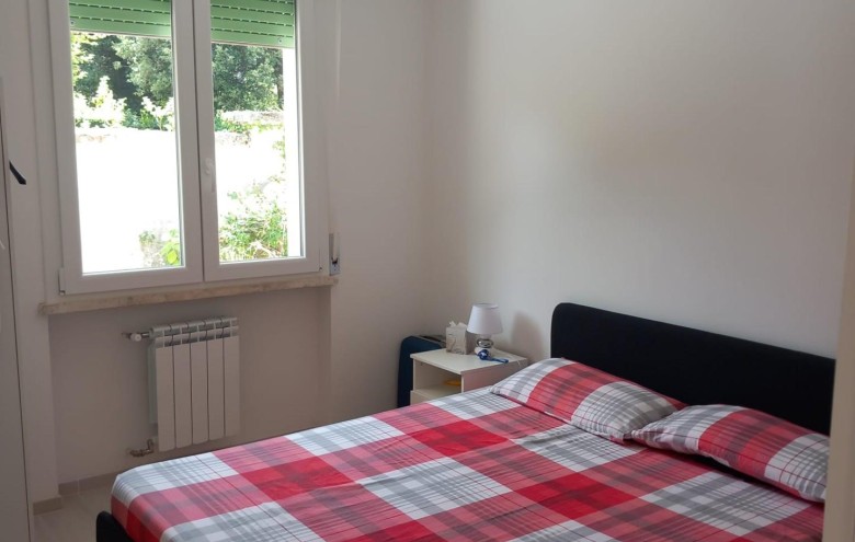 Appartamento in affitto a Massa