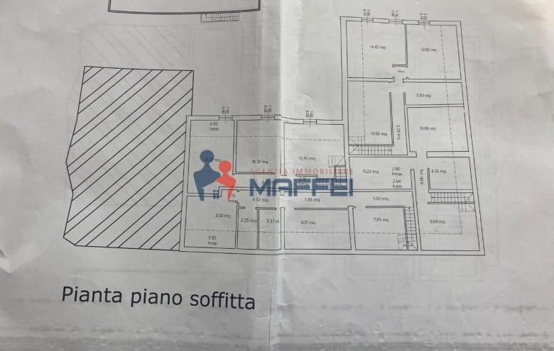 Attività Commerciale in vendita a Viareggio