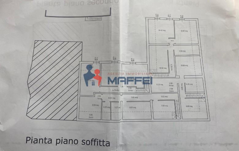 Attività Commerciale in vendita a Viareggio