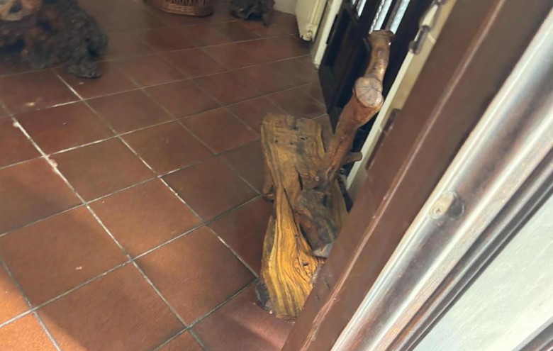 Viareggina in vendita a Viareggio