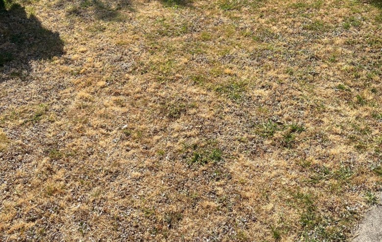 Porzione di casa in vendita a Massa