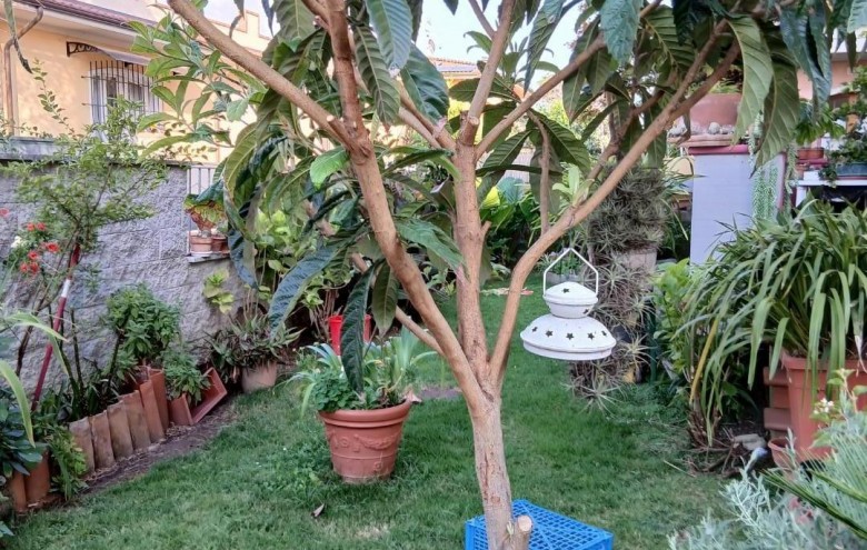 Villa singola in vendita a Massa