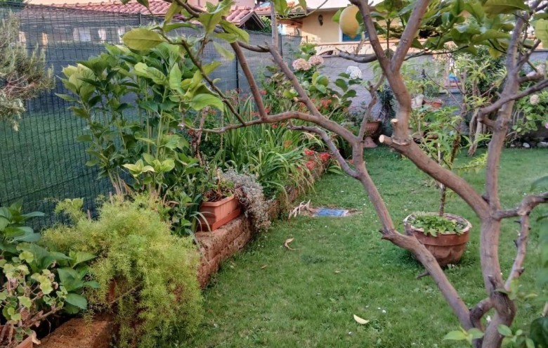 Villa singola in vendita a Massa