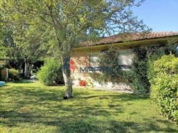 villa-in-vendita-a-bargecchia