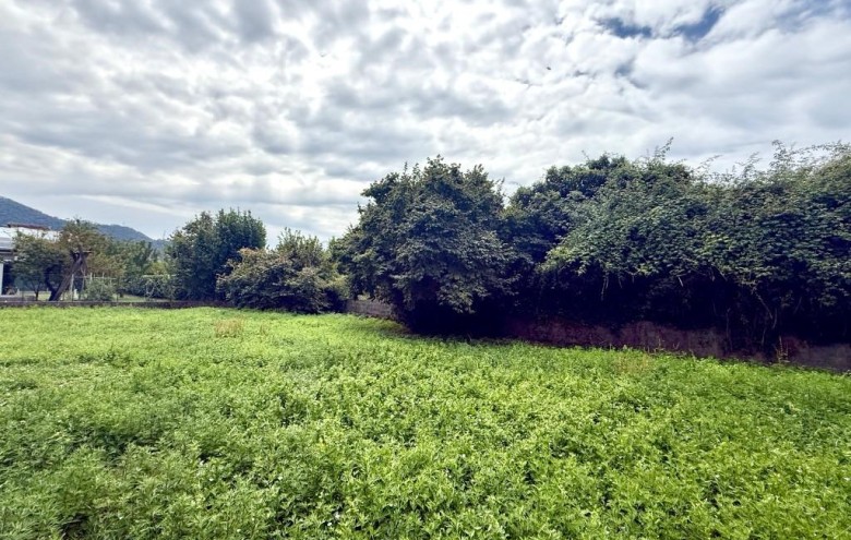 Villa singola in vendita a Massa
