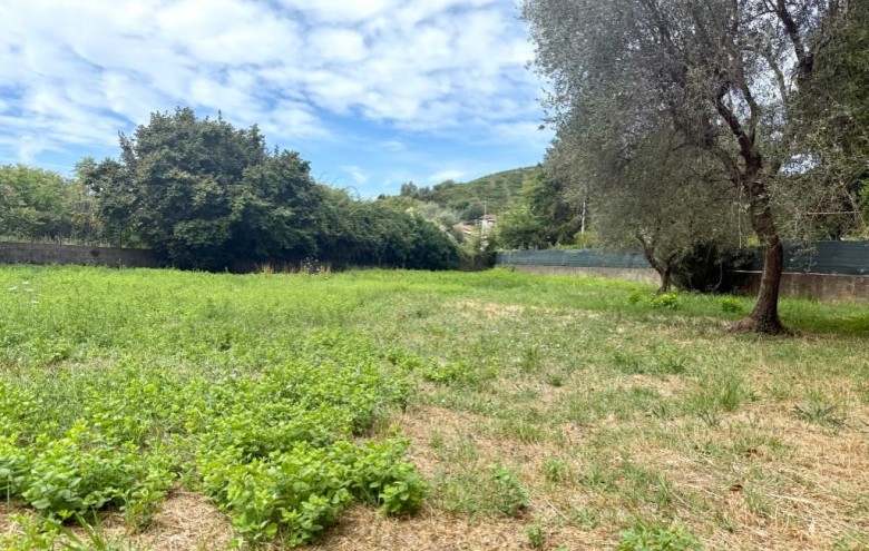 Villa singola in vendita a Massa