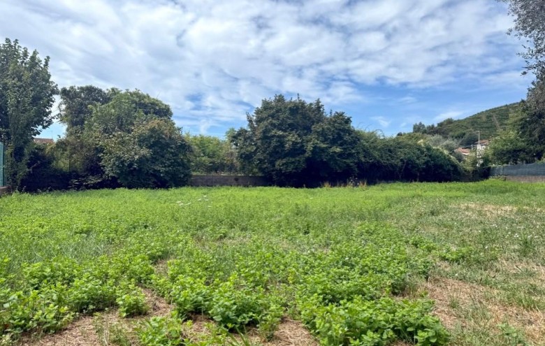 Villa singola in vendita a Massa