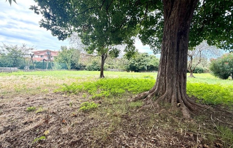 Villa singola in vendita a Massa