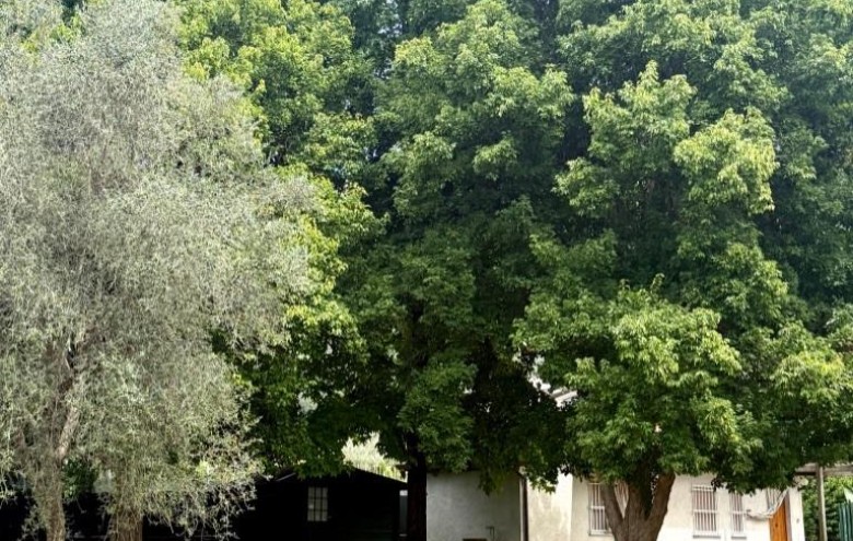 Villa singola in vendita a Massa