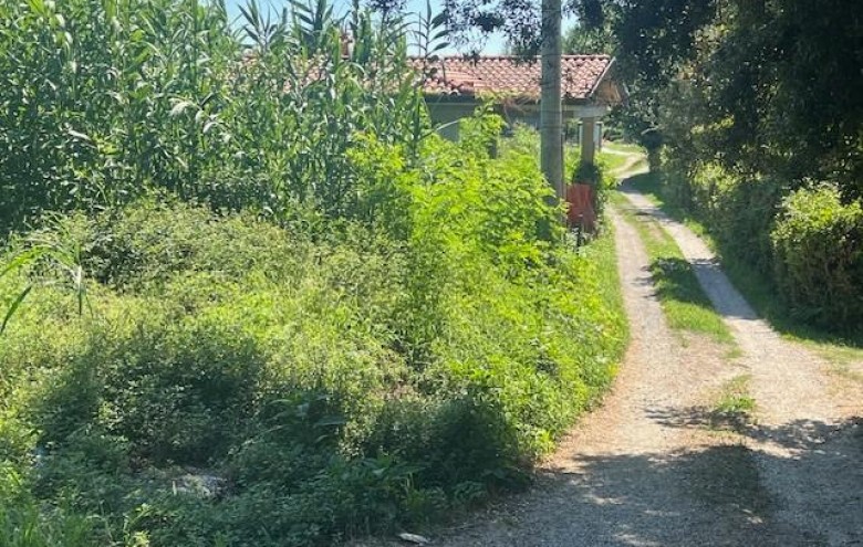 Villa singola in vendita a Massa