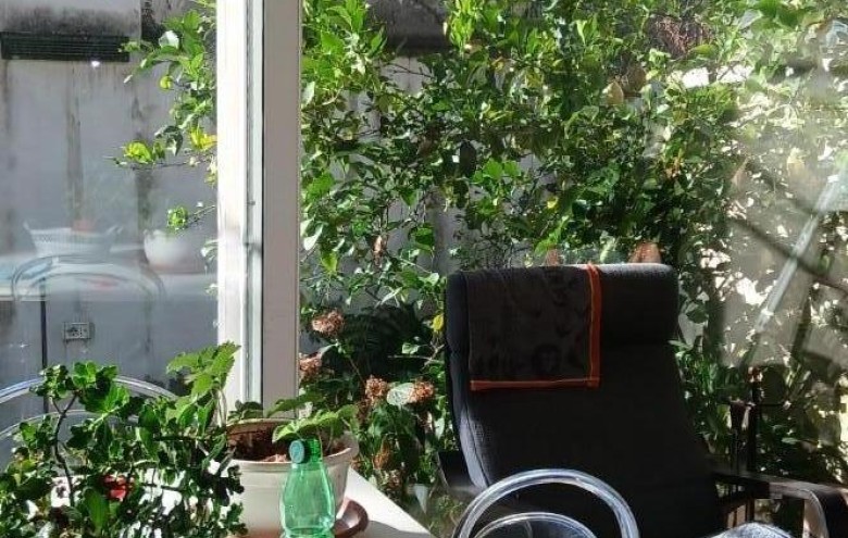 Terratetto in vendita a Massa