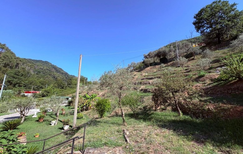 Villa singola in vendita a Massa