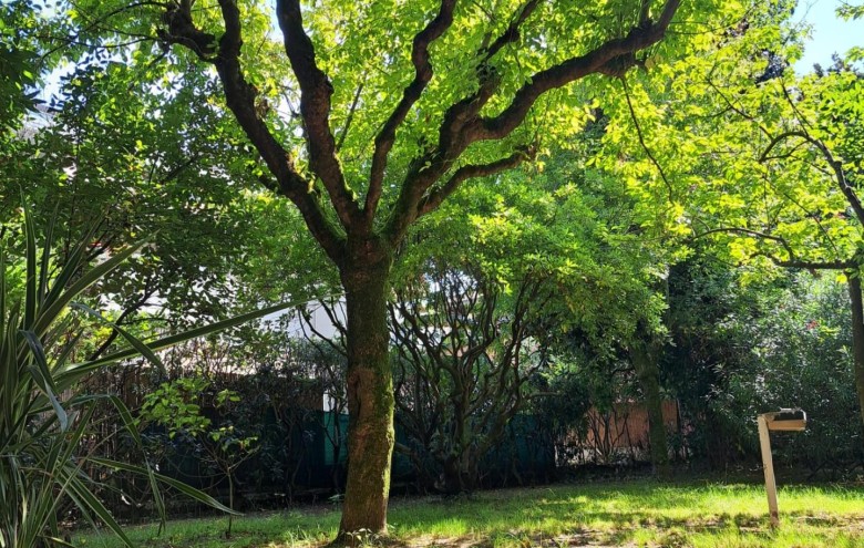 Appartamento in vendita a Massa