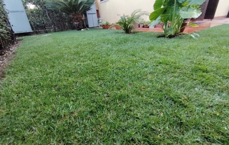 Appartamento in vendita a Massa