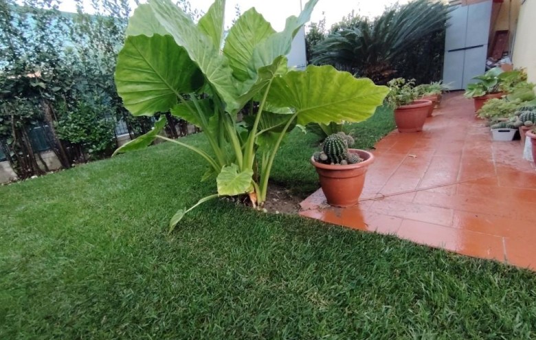 Appartamento in vendita a Massa