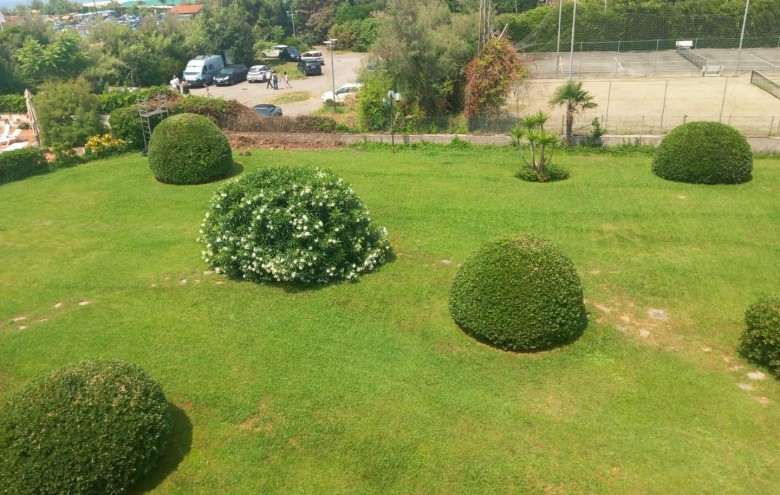 Appartamento in vendita a Montignoso