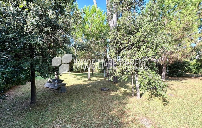 Villetta a schiera in vendita a Massa