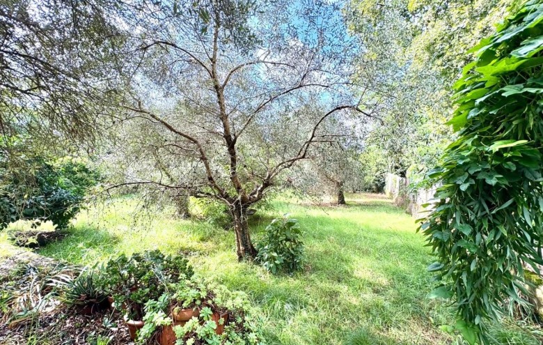 Bifamiliare in vendita a Massa