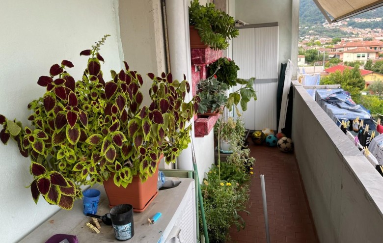 Appartamento in vendita a Massa