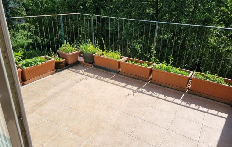 Appartamento in vendita a Massa