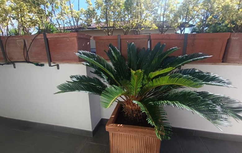 Villa singola in vendita a Montignoso