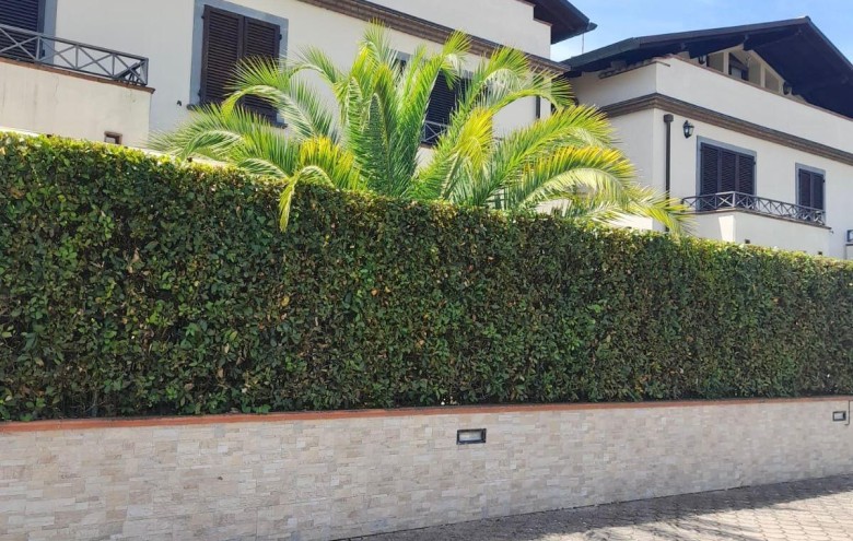 Appartamento in vendita a Massa