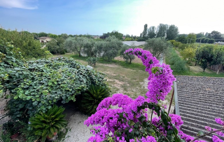 Rustico in vendita a Pietrasanta