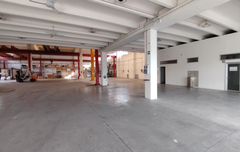 Capannone in affitto a Massa