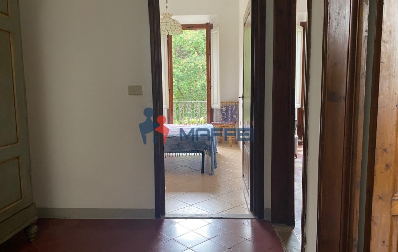 Viareggina in vendita a Viareggio