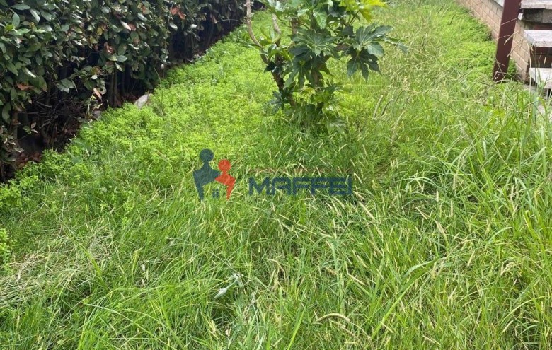 Terratetto in vendita a Camaiore