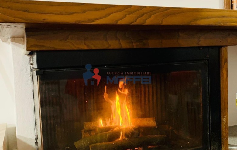 Terratetto in vendita a Camaiore