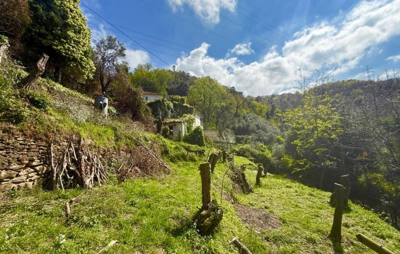 Rustico in vendita a Massa