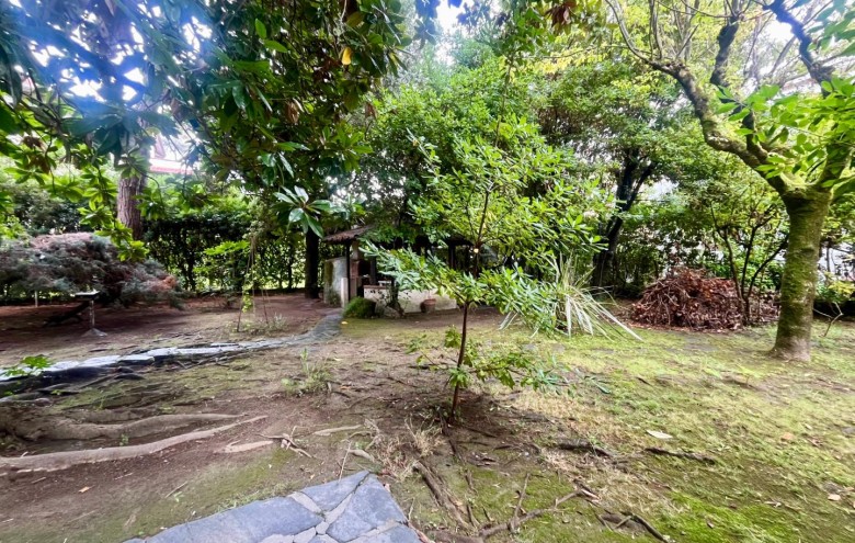 Appartamento in vendita a Massa