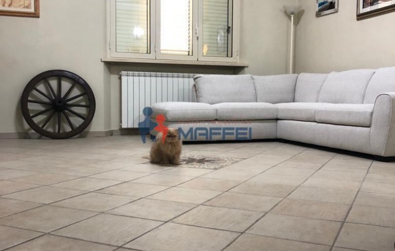 Villetta a schiera in vendita a Camaiore