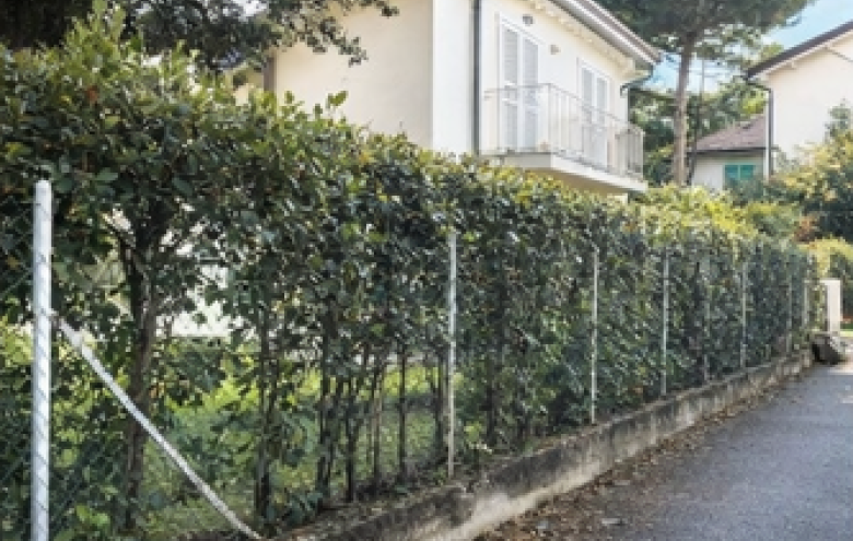 Villa singola in vendita a Montignoso