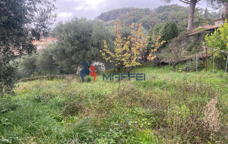 Villetta a schiera in vendita a Massarosa