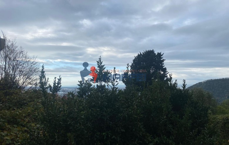 Villetta a schiera in vendita a Massarosa